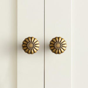 May include: Two round, antique brass-finished cabinet knobs with a flower-like, scalloped petal design. Each knob features a textured, circular center surrounded by radiating, rounded ridges, mounted on a smooth, off-white vertical panel.