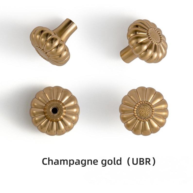May include: Four champagne gold cabinet knobs with a fluted, pumpkin-like shape and a textured center detail. The knobs are shown from multiple angles, including side and top views. The text Champagne gold (UBR) is printed at the bottom.