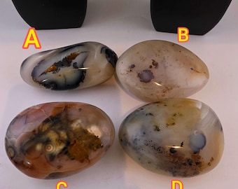 Dendritic Agate Palm Stone Pebbles - Madagascar