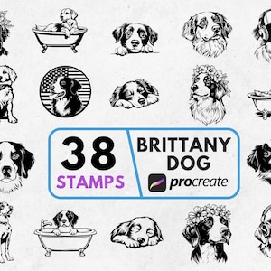 Brittany Dog Procreate Stamp and Brushes, Procreate Brittany Dog Stamp, Procreate Brittany Dog Brushes Bundle, Procreate Ready Stamps