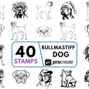 Bullmastiff Hund Procreate Stempel und Pinsel: Digitale Kunstwerkzeuge