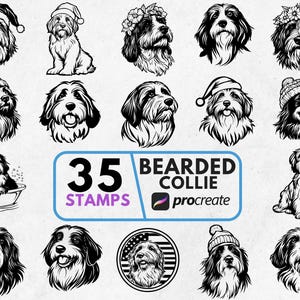 Bearded Collie Procreate Stamp and Brushes, Procreate Bearded Collie Stamps, Procreate Bearded Collie Brushes Bundle, Procreate Ready Stamps