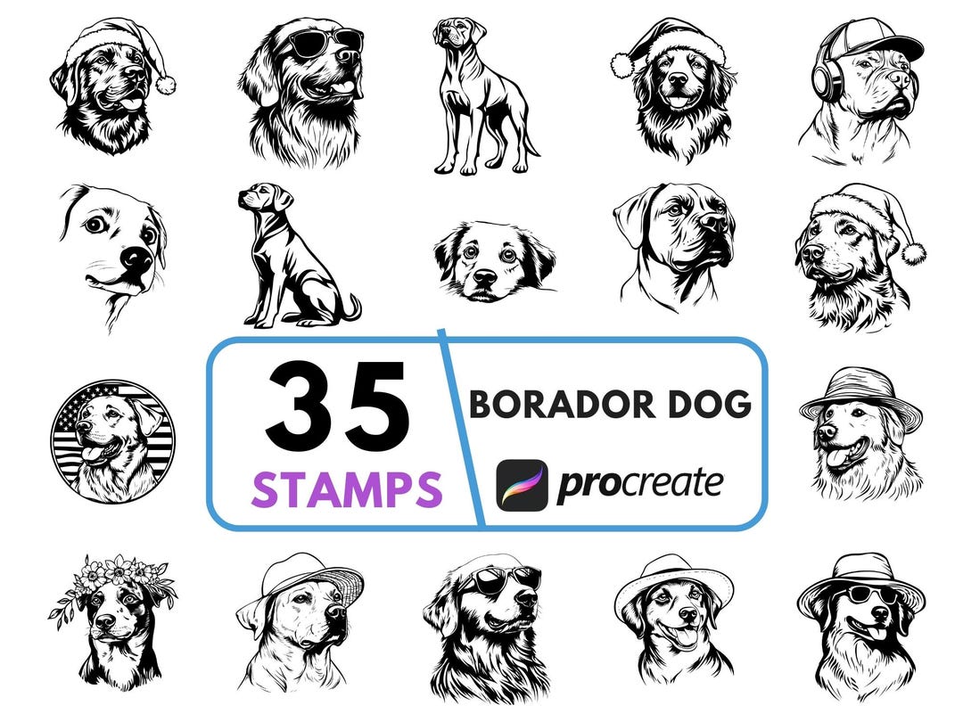 Procreate Lab Dog Borador Dog Procreate Stamp, Labrador Border Collie Mix Digital ...