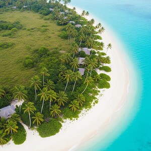 The Island