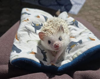 Hedgehog Snuggle Sack, bonding pouch, Cozy bed, Snuggle fleece pouch for hedgehog, guinea pig, sugar glider and other small animals.