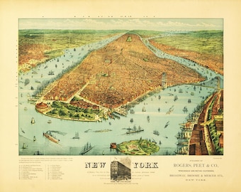 Antique Map of New York 1879 Bird&#39;s Eye View Landscape