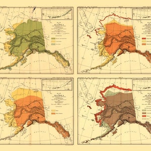 Carte antique de l’Alaska 1882 - Espèces animales 16x20