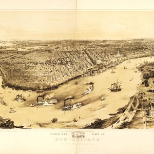 New Orleans Louisiana Birds Eye View Karte 1851