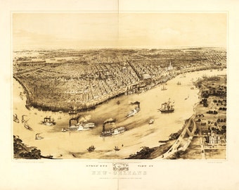 New Orleans Louisiana Birds Eye View Map 1851