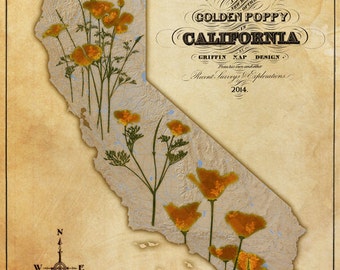 Map of the Golden Poppy in California