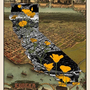 Amapolas de California - Mapa antiguo Eureka CA