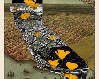 California Poppies - Antique Map Eureka CA