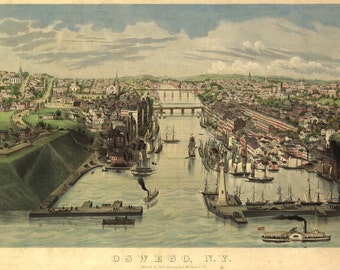Oswego New York Birds Eye View Map 1855