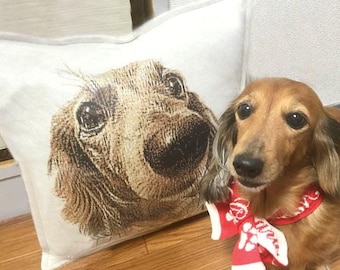 May include: A decorative white pillow featuring a close-up image of a dachshund's face. Beside the pillow is a live dachshund wearing a red and white scarf. The dog has brown fur and is looking at the camera.