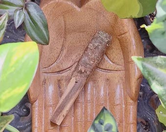 healing || cinnamon & sage dipped palo santo stick