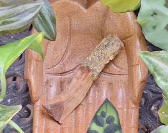prosperity || cinnamon, chamomile & jasmine dipped palo santo stick