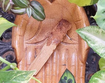 cinnamon: abundance || hand-dipped palo santo stick
