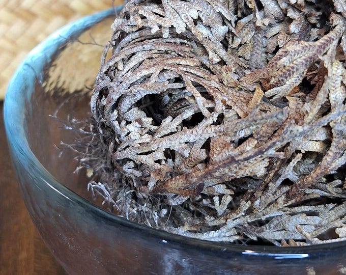 Featured listing image: rose of Jericho + glass bowl