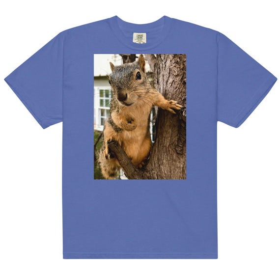 BRIGHT EYES "In the Hood"--Unisex garment-dyed heavyweight t-shirt