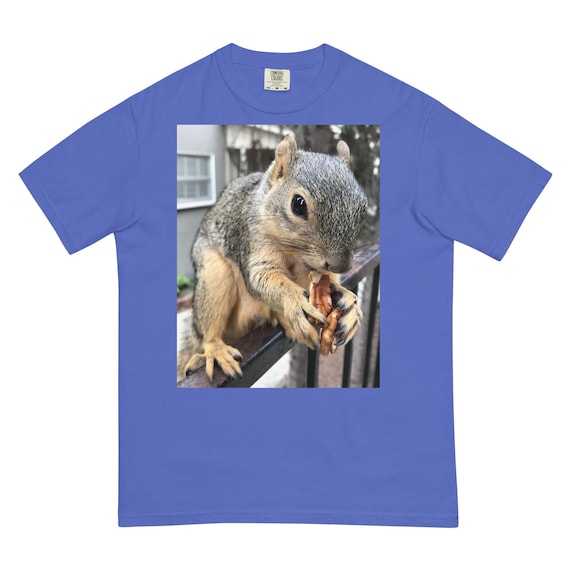 BRIGHT EYES "Doubling Up"--Unisex garment-dyed heavyweight t-shirt