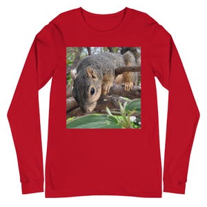 Puede incluir: Una camiseta roja de manga larga con una imagen cuadrada de una ardilla gris posada en una rama de árbol. La ardilla mira hacia abajo, con la cabeza y las patas delanteras visibles. El fondo incluye hojas verdes y ramas de árboles.