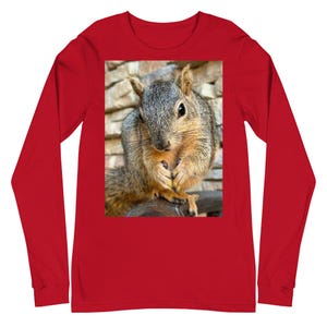 Puede incluir: Una camiseta roja de manga larga con una imagen de primer plano de una ardilla. La ardilla tiene pelaje gris y marrón y sostiene algo en sus patas. El fondo es una pared de piedra.