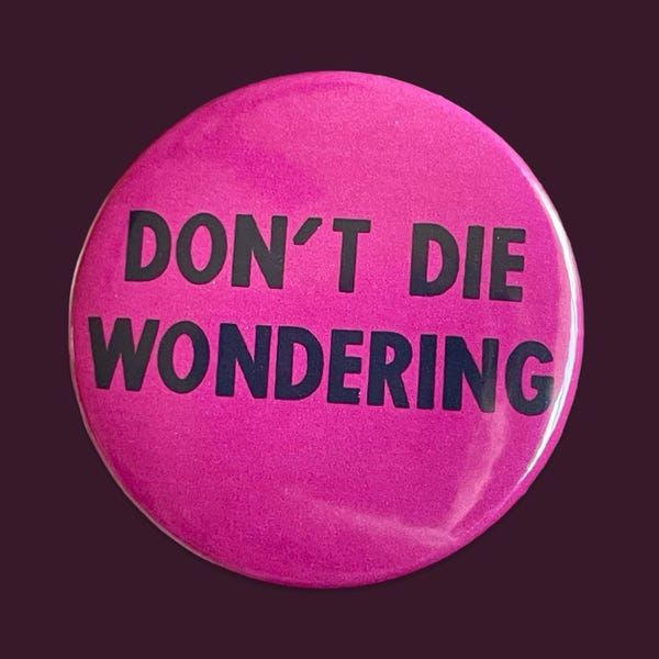 Don't Die Wondering Vintage Repro Pride Pin
