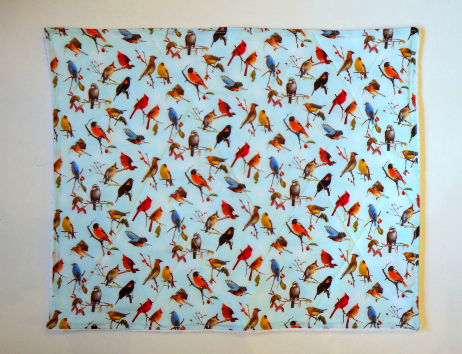 Platillo Mat decoración de cocina retro motivos de aves | Etsy