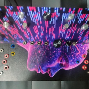 Può includere: Un modulo sintetizzatore elettronico rettangolare con base nera e una grafica di un volto umano in wireframe rosa. La sezione superiore mostra motivi di codice digitale blu e rosa, con manopole argentate e vari jack di ingresso colorati.