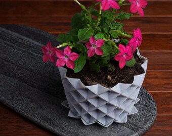 3D Printed Geometric Plant Pot: Modern Succulent Planter, Eco-Friendly PLA
