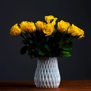 Geometric Vase | Organic Planter | Flowerpot | Elegant Vase | Pots for Plants | 3d Printed