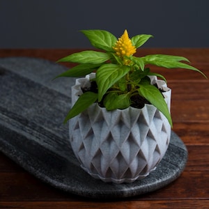 Vaso geometrico / Vari colori / Fioriere organiche / Vaso decorativo / Fioriere succulente / Vasi per piante / Motivo / Stampato in 3D