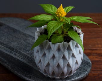 3D Printed Geometric Planter: Modern Succulent Pot, Eco-Friendly PLA