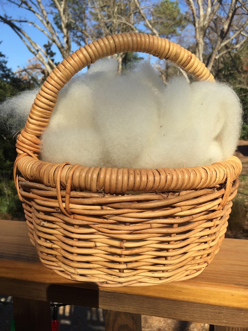 light brown or white wool roving