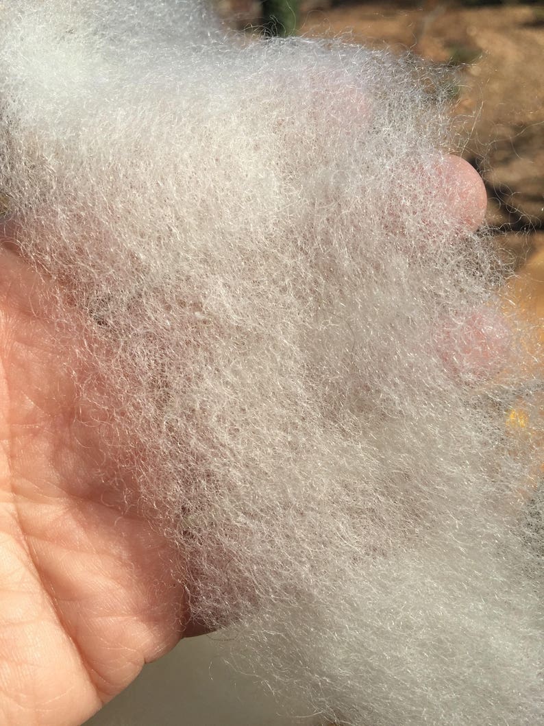 light brown or white wool roving