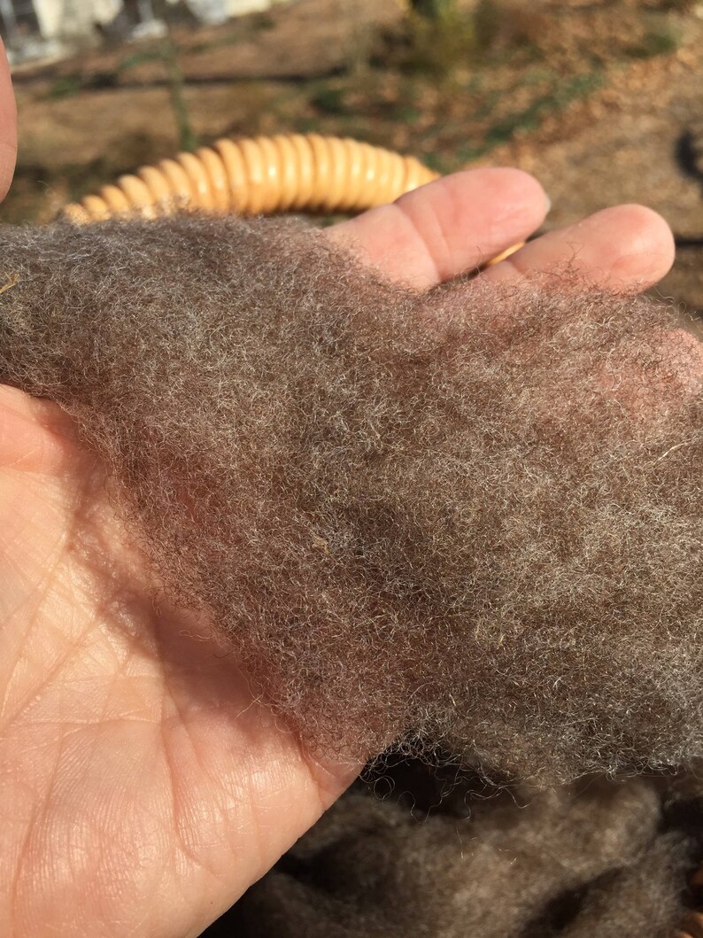 light brown or white wool roving