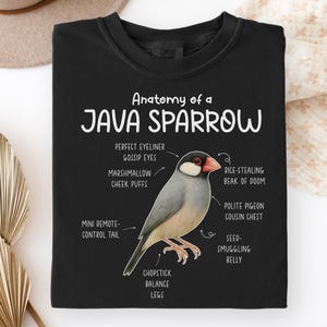 May include: Black sweatshirt with a detailed diagram of a Java Sparrow, humorously labelled with terms like "Marshmallow Cheek Puffs" and "Polite Pigeon Cousin Chest". The text at the top reads "Anatomy of a Java Sparrow".
