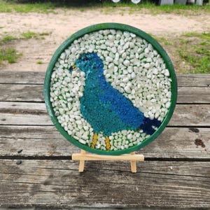 The Seagull