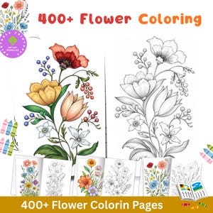 400+ Pattern Swirls and Flowers Coloring Pages, Mindfulness Coloring Sheets, Adults Coloring Book, Coloring Books, Coloring Instant Download