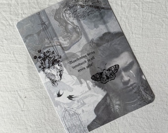 Quicksilver Kingfisher Kindle-Einsatz