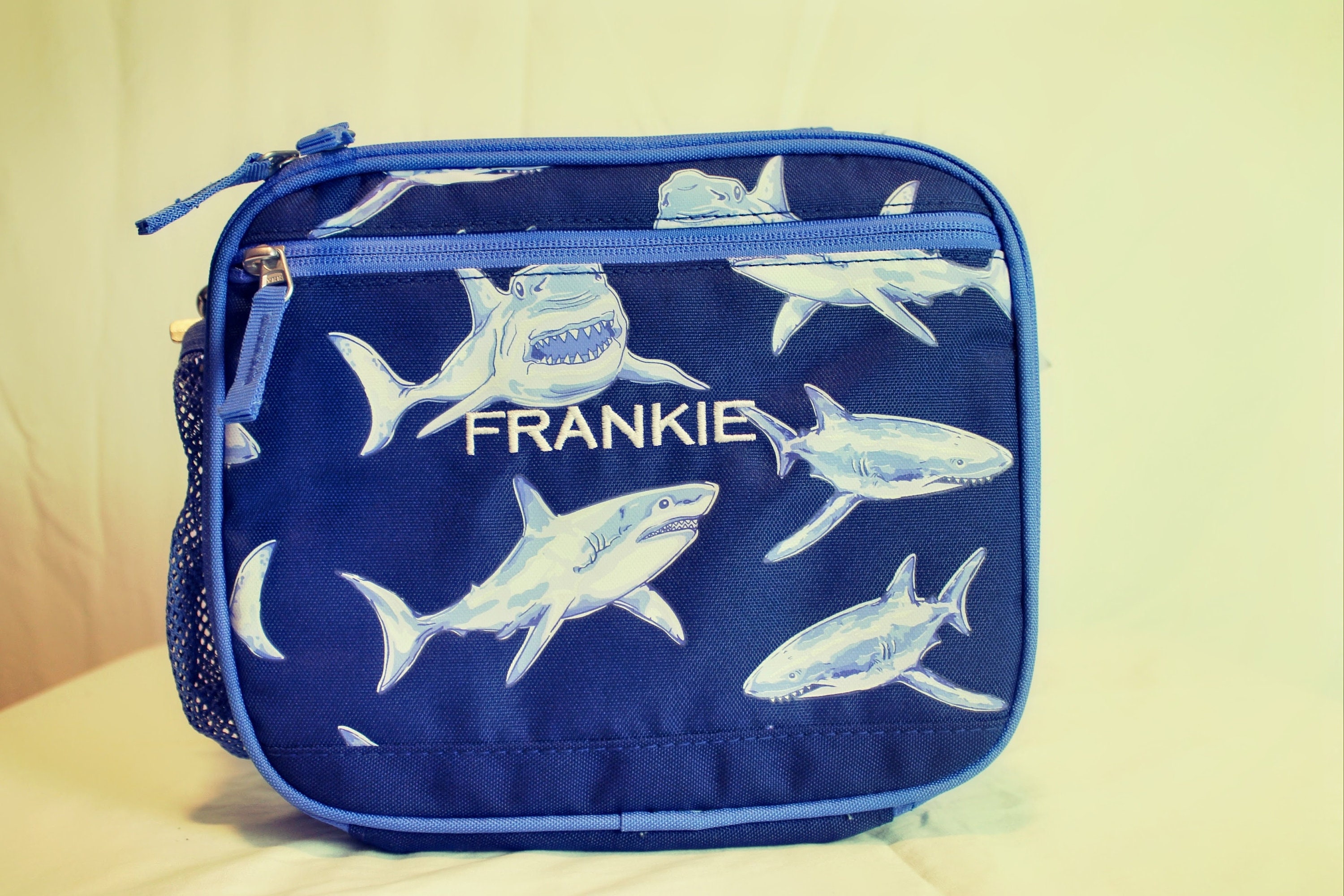 Pottery Barn Kids Sharks Mackenzie Classic Lunch Box Blue Navy Shark