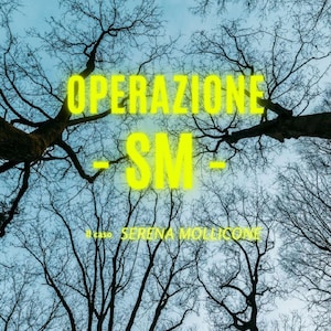 Può includere: Immagine di rami di alberi spogli contro un cielo azzurro chiaro. Le parole "OPERAZIONE SM" sono in giallo brillante, con "Il caso SERENA MOLLICONE" sotto. L'immagine ha un'atmosfera leggermente minacciosa.
