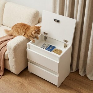 May include: A white bedside cabinet with two drawers and a hinged top. The top is open, showing a passport, currency, and a small purse. An orange cat sits on the arm of a cream-coloured sofa next to the cabinet.