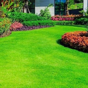 May include: A vibrant green lawn with manicured landscaping. The image features a lush, well-maintained lawn with colorful flower beds and shrubs. The scene is bright and inviting, showcasing a beautifully designed garden.