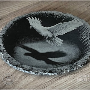 May include: A set of three ceramic mugs with a speckled, matte finish. The mugs are in shades of cream, light gray, and dark gray. Each mug has a simple, minimalist design, perfect for coffee or tea.