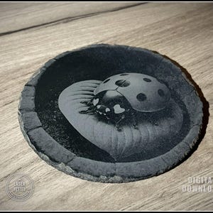 Ladybug Engraving PNG, 3D Illusion Ladybug Design, Slate Coaster Laser art File, Grayscale Bug Art, Digital Download, Instant Download