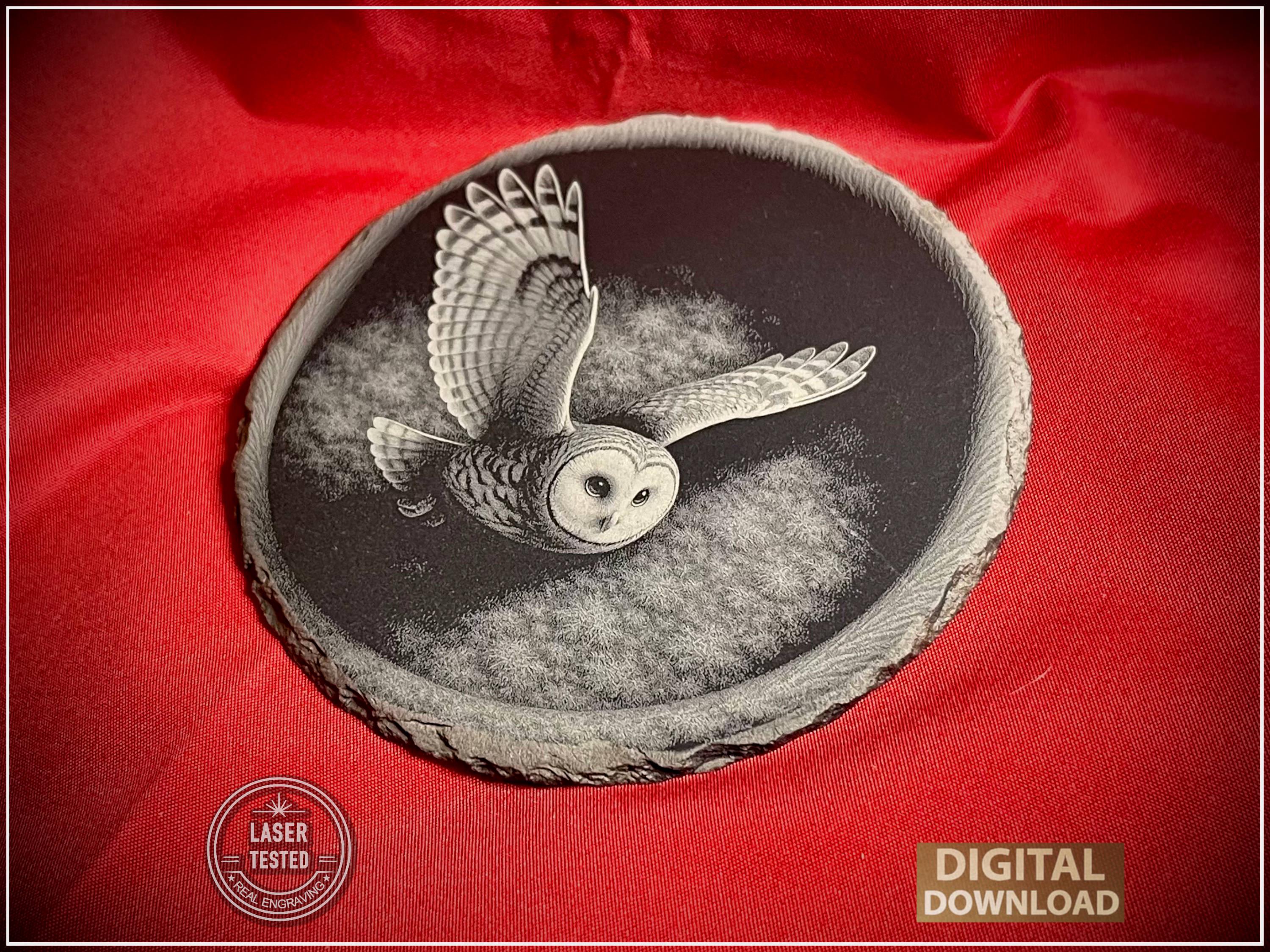 3D Illusion Owl Over Forest Hollow &ndash; Grayscale Laser Engraving Digital File (PNG)