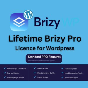 May include: A blue graphic promoting Brizy WP, a WordPress website builder. The image includes the Brizy logo, text reading "Lifetime Brizy Pro Licence for WordPress," and a list of standard PRO features.