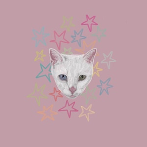 Custom Digital Pet Portrait – Hand-Drawn in Procreate – Cat, Dog & Pet Illustration