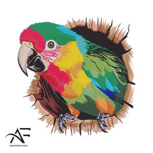 Colorful Parrot Embroidery Design – Floral Bird Machine Embroidery File – Tropical Parrot Stitch Pattern – Animal Digital Download